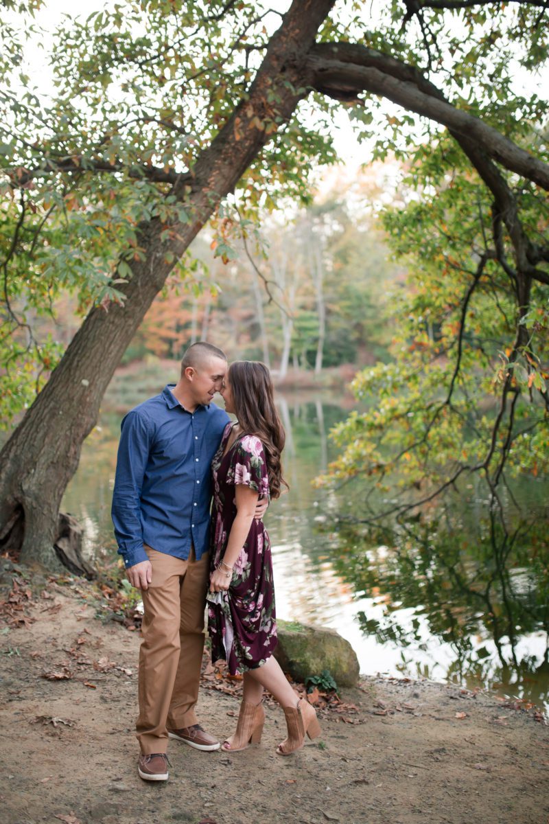 fall engagement lily pond mill creek park youngstown ohio