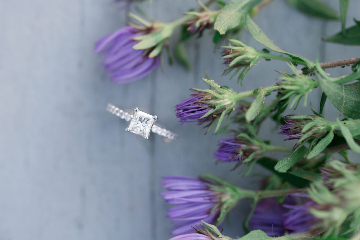 fall engagement at lake erie marina lindsey yeagley photo