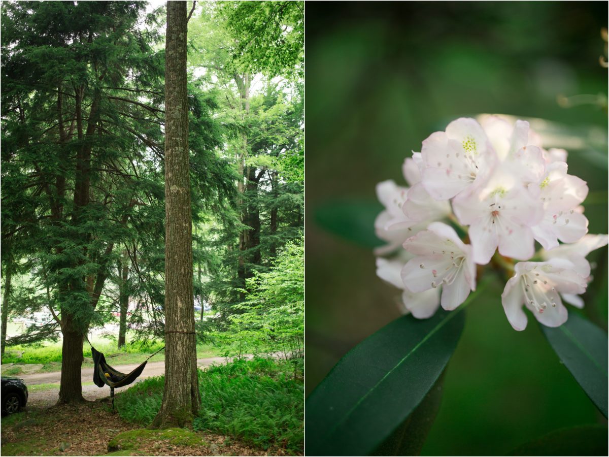 clear_creek_state_park_lindsey_yeagley_photo_0015