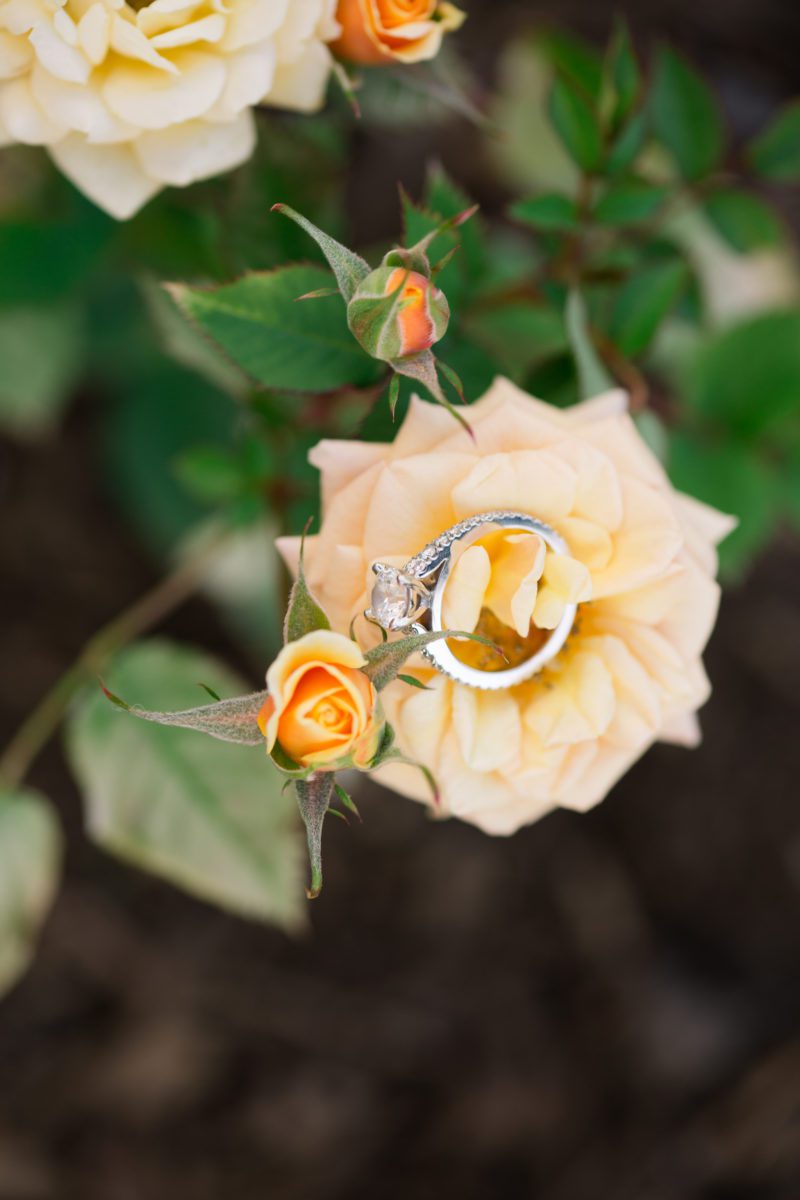 emerald necklace marina rocky river engagement photography