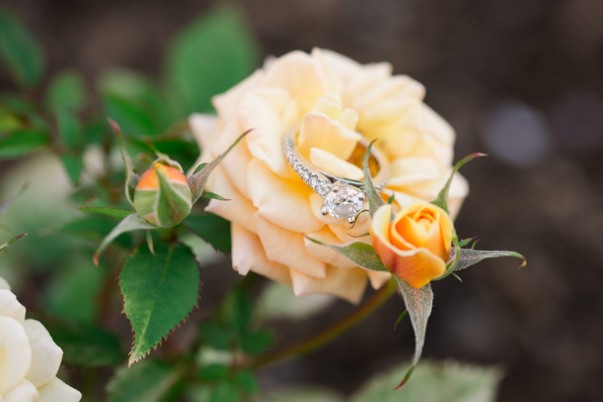emerald necklace marina rocky river engagement photography