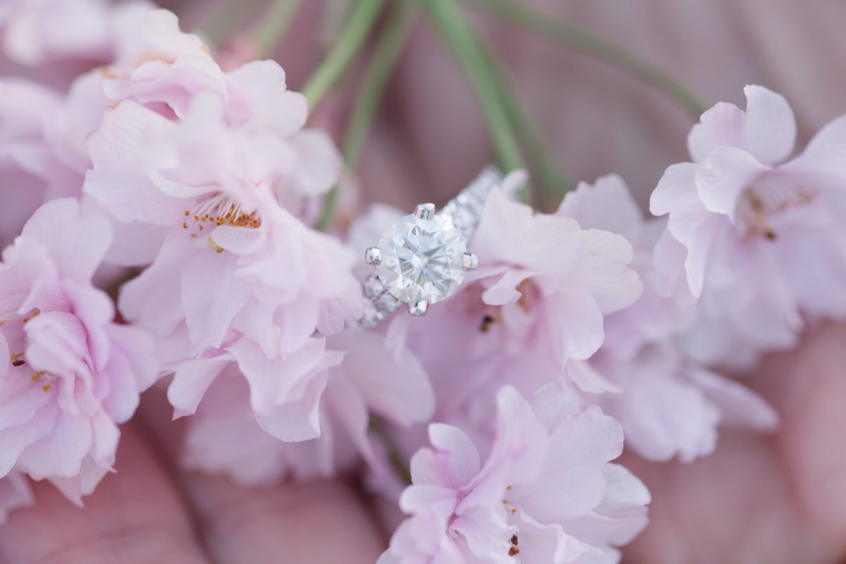 emerald necklace marina rocky river engagement photography